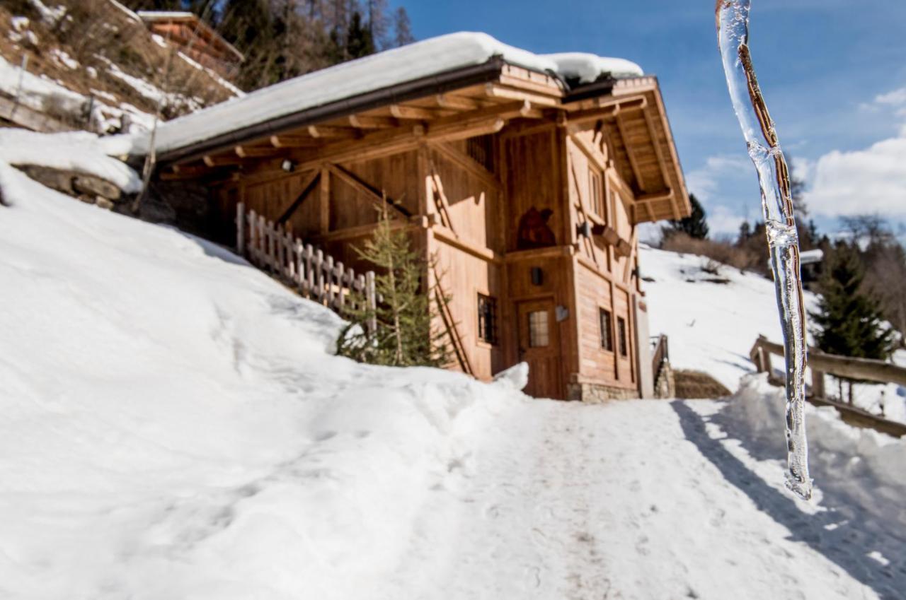 Вилла Chalet Bambi Рабби Экстерьер фото