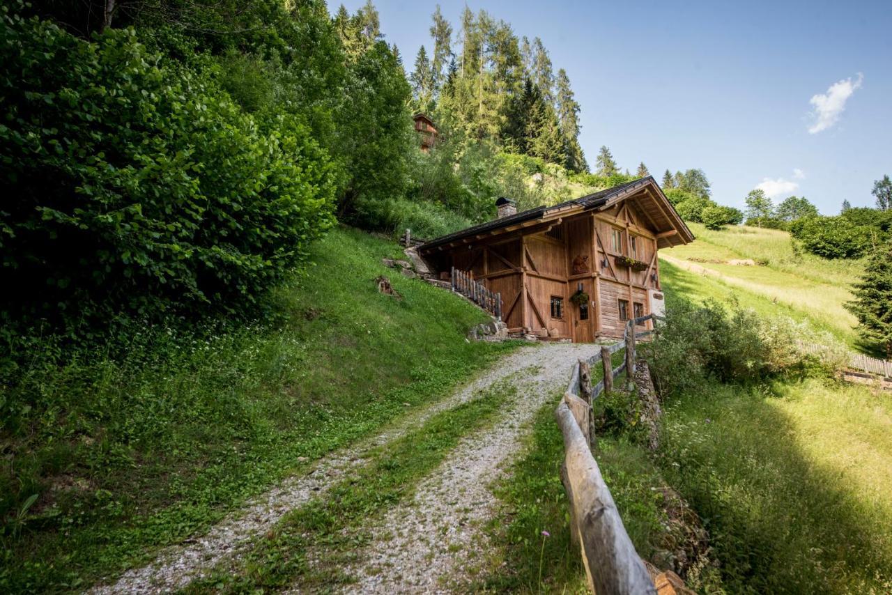 Вилла Chalet Bambi Рабби Экстерьер фото