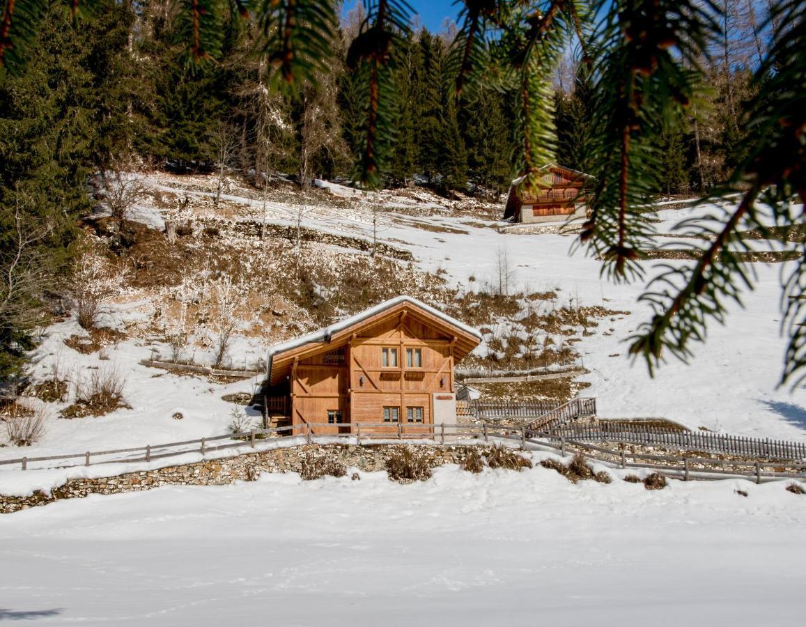 Вилла Chalet Bambi Рабби Экстерьер фото