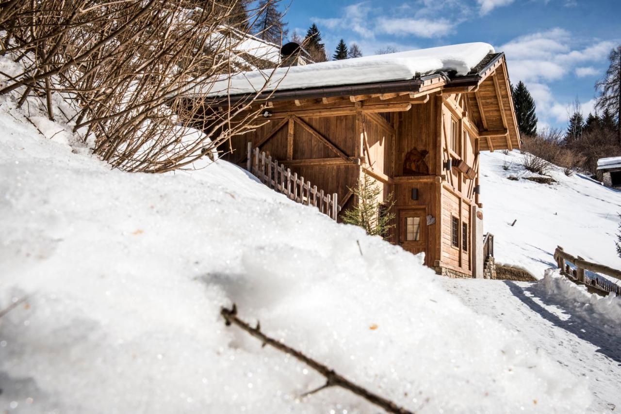 Вилла Chalet Bambi Рабби Экстерьер фото