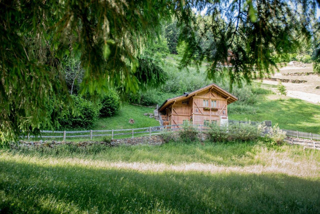 Вилла Chalet Bambi Рабби Экстерьер фото