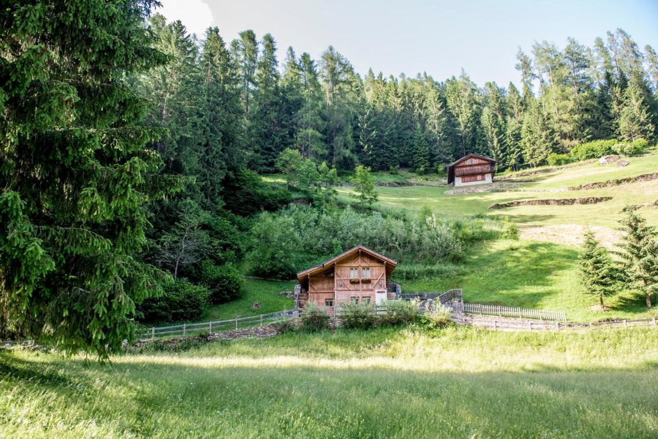 Вилла Chalet Bambi Рабби Экстерьер фото